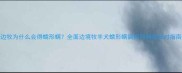 边牧为什么会得蠕形螨全面边境牧羊犬蠕形螨病因与科学应对指南