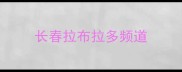 长春拉布拉多频道