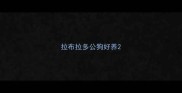 拉布拉多公狗好养