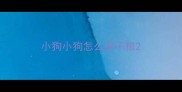 小狗小狗怎么换干粮