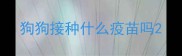 狗狗接种什么疫苗吗