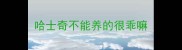 哈士奇不能养的很乖嘛