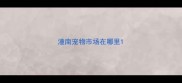 潼南宠物市场在哪里