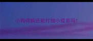 小狗得病还能打细小疫苗吗