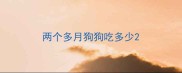 两个多月狗狗吃多少