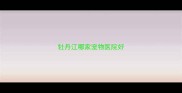 牡丹江哪家宠物医院好