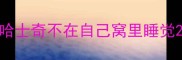 哈士奇不在自己窝里睡觉