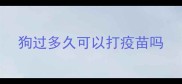 狗过多久可以打疫苗吗