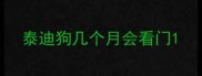 泰迪狗几个月会看门