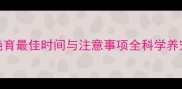 猫咪绝育最佳时间与注意事项全科学养宠指南