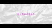 哈士奇幼犬拉血水