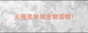 去哪里学做宠物蛋糕