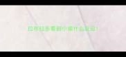 拉布拉多看到小偷什么反应