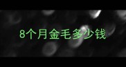 8个月金毛多少钱