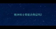 株洲哈士奇能办狗证吗