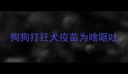 狗狗打狂犬疫苗为啥呕吐