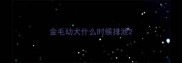 金毛幼犬什么时候排泄