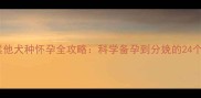 泰迪犬与其他犬种怀孕全攻略科学备孕到分娩的24个关键细节