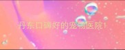 丹东口碑好的宠物医院
