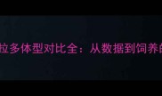边牧与拉布拉多体型对比全从数据到饲养的深度指南