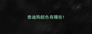 泰迪狗颜色有哪些