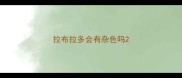 拉布拉多会有杂色吗
