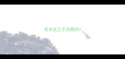 可卡犬三个月照片