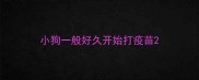 小狗一般好久开始打疫苗