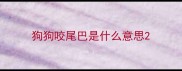 狗狗咬尾巴是什么意思
