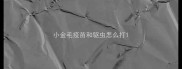 小金毛疫苗和驱虫怎么打