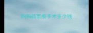 狗狗颜面瘘手术多少钱