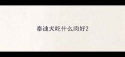 泰迪犬吃什么肉好