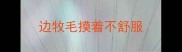 边牧毛摸着不舒服