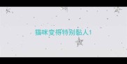 猫咪变得特别黏人