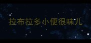 拉布拉多小便很味儿