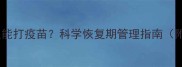 宠物感冒后多久能打疫苗科学恢复期管理指南附接种全流程