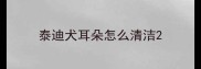 泰迪犬耳朵怎么清洁