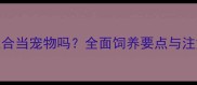 负鼠适合当宠物吗全面饲养要点与注意事项