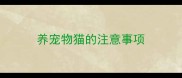 养宠物猫的注意事项