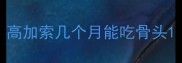 高加索几个月能吃骨头