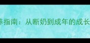 拉布拉多幼犬科学饲养指南从断奶到成年的成长周期与关键护理要点