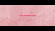 我的边牧前腿比后腿短