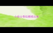 小哈士奇拉稀喷出来