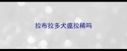 拉布拉多犬瘟拉稀吗