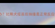 比熊疫苗后抽搐频繁怎么办比熊犬疫苗后抽搐是正常反应吗附疫苗后护理全攻略