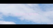 猫咪牙齿发黄断裂