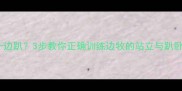 边牧耳朵一边立一边趴3步教你正确训练边牧的站立与趴卧指令附实操视频