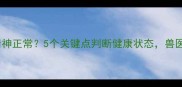 哈士奇咳嗽但精神正常5个关键点判断健康状态兽医详解应对措施