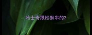 哈士奇跟松狮串的