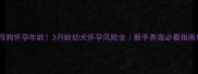 母狗怀孕年龄3月龄幼犬怀孕风险全新手养宠必看指南
